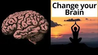 Change your brain with meditation: Stop depression and slow aging - Science/Research