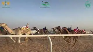 ميدان شرورة - بكار رئيسي مفاريد - مسافة ١٢٠٠ م - شومة ل عمر صالح عمر ال شملان الصيعري