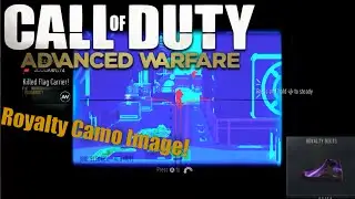 Многопользовательский игровой процесс Call of Duty Advanced Warfare &mdash; изображение камуфляжа Royalty (многопользовательский режим AW)