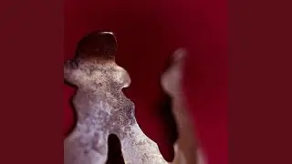 Sielunsyöjät