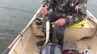 How to use fish grabbers