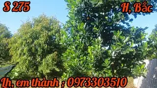 Nh&agrave; vườn sr v&agrave; một số c&acirc;y ăn tr&aacute;i kh&aacute;c, =S21223,7m&sup2;, 2,8tỷ ,lh em th&agrave;nh ạ.