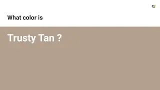 Trusty Tan color #b59f8f hex color - Brown color - Cool color b59f8f
