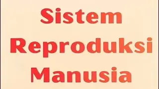 Media Audio Visual “Sistem Reproduksi Manusia”