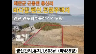 급매! 태안군 바다앞 전망 최상 바다앞 멋진 풍경 바다 간조시 갯벌 체험 까지 펜션 전원주택지 근흥면 용신리 서산부동산 태안부동산 토지매매