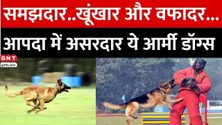 Indian Army Dogs: भारतीय सेना के खोजी कुत्ते अपने टारगेट को दबोचने में माहिर, देखिए पूरी रिपोर्ट