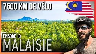 🇲🇾 Malaisie à vélo (10/11) 7500 km à vélo à travers l'Asie pour rejoindre SINGAPOUR