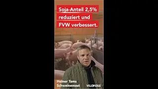 Schweinemast 2.0: F&uuml;tterung NutriSpar Erfahrung: Soja reduziert, CO2 gesenkt, FVW verbessert
