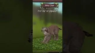 Ну&hellip;хотя бы что то. #вайлдкрафт #wildcraft #баг
