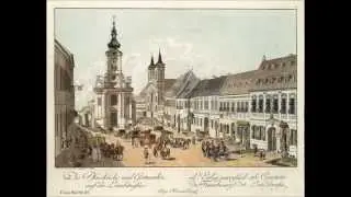 Mozart: piano sonata no. 9 in A minor, K. 310. Anthony Newman - fortepiano