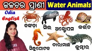 Aquatic Animals Name in English_Odia | ଜଳଚର ପ୍ରାଣୀ ମାନଙ୍କର ନାମ | Water animals name | kidz world