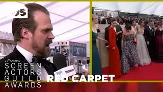 David Harbour: Red Carpet Interview | 24th Annual SAG Awards | TBS