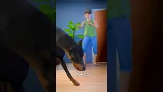 A Dog Rescue a Theft man 😲🤯 #shorts #youtubeshorts #shortvideo #trending #viralvideo #facts #fact