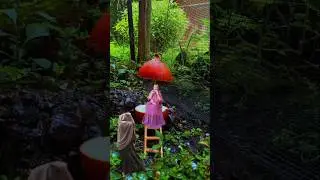 Creativitas videography #creativevideo #nature #ngedit #gardening #editorpemula #belajaredit