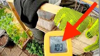 Achieving Hot Passive Temperatures In Winter | Simple Mistake Sets Us Back Two Weeks | Zone 4b