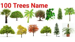 100 Trees Name in English with pictures. 100 Plants Name. Sprouting English.