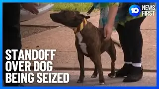 Standoff From Dog Attack | 10 News First
