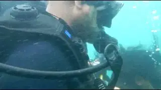 DSCN0294
