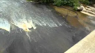 South River