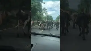 August 2025 San Salvador heading to the airport