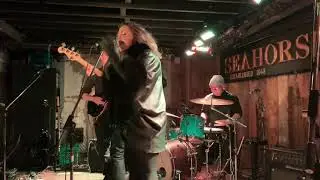 Sarah Ellen Morrison LIVE at The Seahorse Tavern