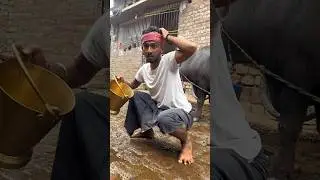 funny video😂 #magahi  #funny #comedy #maghi #khachorancha #udaydoctorcomedy #magahi_king7 #shorts