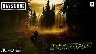 Days Gone: What's the Idea Behind it? #daysgoneps5 part 2