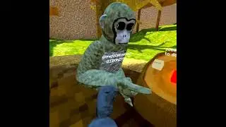 Vine tag is CRAZY!!!