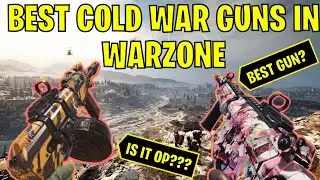 BEST COLD WAR GUNS for WARZONE - Cold War Season One Warzone Integration