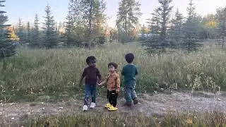 September 28, 2025 let them run free #toddler #canada #calgary #toddleractivities