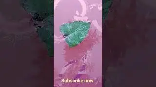 bote magic ✨🪄 ink patta #youtubeshorts #trending #subscribe #shortvideo #bhida