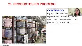 PLAN CONTABLE- ELEMENTO 2: Activo Realizable - CUENTA 20 a la 29 - TEORÍA Y PRÁCTICA