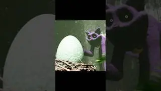 Found a dinosaur egg in the jungle! #jungle #dinosaur #egg