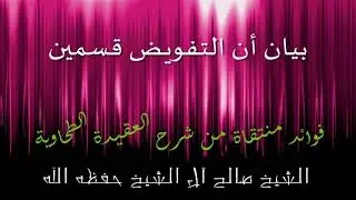 بيان أن التفويض قسمين