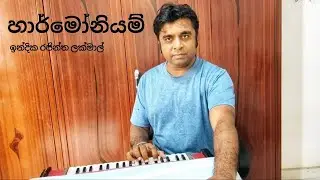 Improvisation of Harmonium🎉️🎵🎶 C#7th/ F7th/C7th/ Melodic minor/ Harmonic Minor/F pentatonic scale/