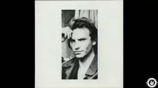 The Dream of the Blue Turtles, First Sting's album