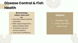 MINI PROJECT VIDEO// MARINE BIOTECHNOLOGY//SQ31103