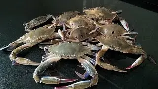 Varutharacha Njandu Curry | Crab Roast | Crab Spicy Masala | Seafood Recipe | Mit Magic