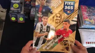 Fifa 365 2019 stickers album  👌🏻