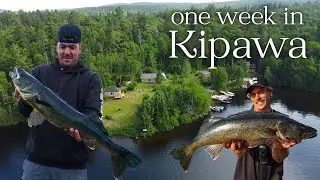 7 Days at a CANADIAN Fishing Lodge Chasing GIANT BLUE Walleye and Lake Trout