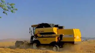 TC5070 TC56 biçerdöver bugday hasadı