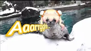 Seal nene screaming | Animal hololive