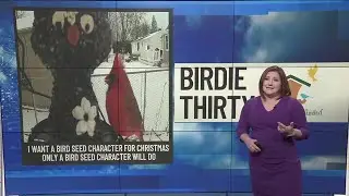 BIRDIE THIRTY: 