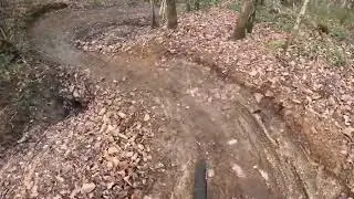 Clyne MTB Trail Swansea - December 2025