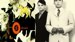 Silvania : Campo de Spirales Arboles y Secuencias Posibles