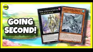 FUN GOING SECOND DECK!! [Yu-Gi-Oh! Master Duel]