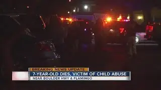 Valley man charged with murder in little boy's death
