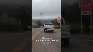Road trip to Dole Plantation #hawaii #oahu #aloha #honolulu