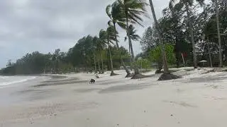 Lagoi Bay Beach Bintan Island (30-January-2025)