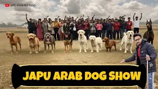 JAPU ARAB DOG SHOW || PET SHOW || MINI ZOO || PET VLOG || ODIA VLOG || DOG LOVER ODISHA || 